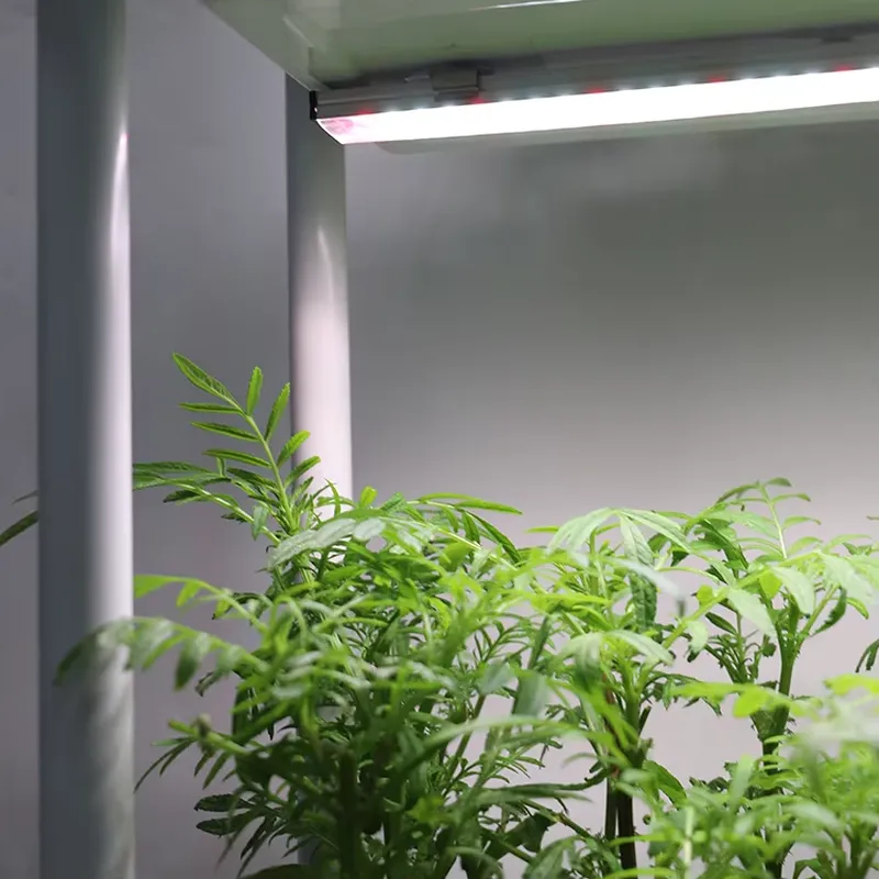 Передвижная вертикальная треху – обзор и цена Self-Watering Planter