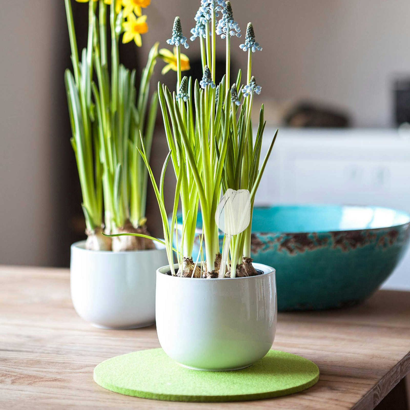 2 шт. Премиальные садовые шары – обзор и цена Self-Watering Planter